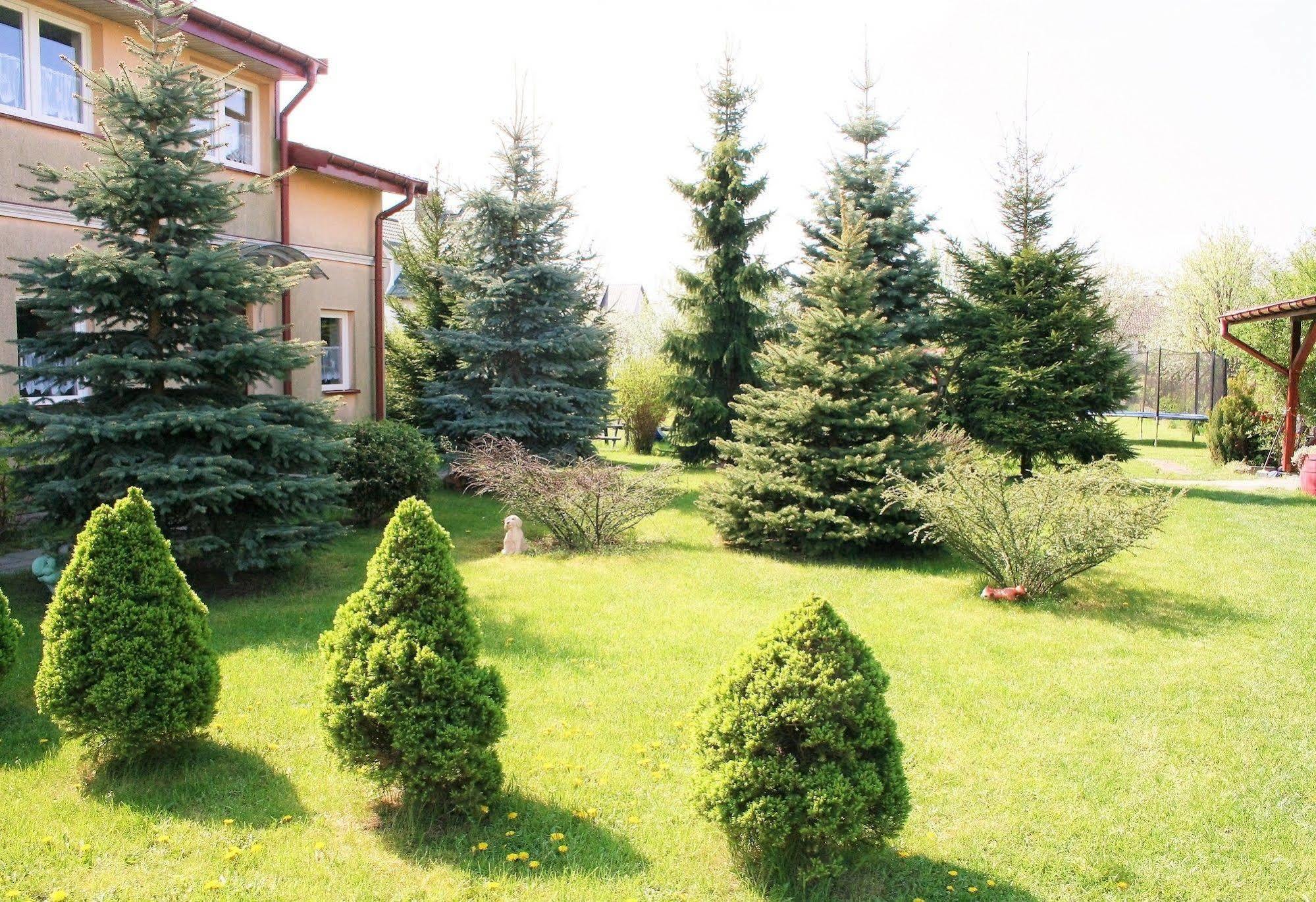 Mv Apartamenty Komfort Аугустов Екстериор снимка